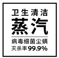 LAURASTAR新品揭晓 ｜ IGGI新一代手持净化蒸汽熨烫机