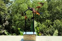 大雁奖 | 大卫地板连续3年荣获“中国家居产业地板领军品牌”