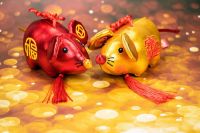 96年属鼠最佳年纪是什么时候