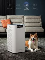 SoleusAir舒乐氏：空气污染大课题之下，为你解决呼吸之痛