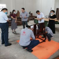 国家林草局科技司唐红英处长来我司 调研指导科普工作