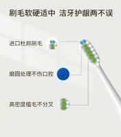 180天超长续航+强效清洁力，TCL·XESS D1F电动牙刷让牙齿更健康