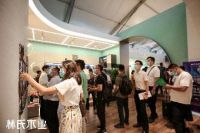 ​林氏木业C位亮相2020名家具展，凭借年轻化&新零售强势破圈