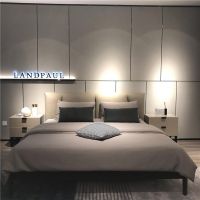 2020逆市而起 兰德保罗经销商三年连开3店