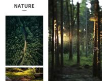 TONA国际卫浴：【福雷斯特】拍了拍你，邀你畅享森林之美