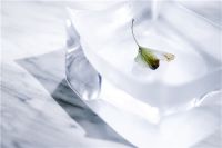 “用艺术呈现神秘” —LITCHI × THE SHOUTER倾心呈现 —「盐 解」多元艺术家庄盐个展