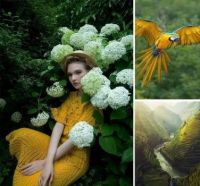 尚居良品软装︱颜色也有性格，选择尚居良品墙布，学会用“色彩”表达你的情感