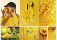 【YASLAN】走进梵高的色彩世界——向日葵黄