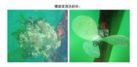 降维攻击！军工&科技大咖联手解密方太全新水槽洗碗机