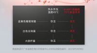 揭秘：威思威水槽洗碗机成为更多年轻人必备厨电的秘诀