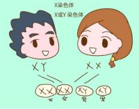 孕前检查有哪些项目 备孕夫妻可收藏