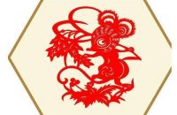2020年是什么命