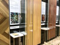乐迈Lamett陈梅：以石晶地墙板发力国内市场 征战新蓝海