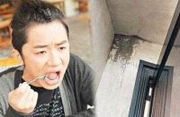 明星也遇装修难，圣诞鸟整装5R信用服务承诺为您解忧