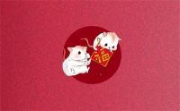 2020年是农历什么年 今年是双春年吗