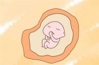孕36周胎儿发育标准 孕后期要注意什么