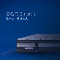 “撕掉传统标签，喜临门放肆起来”