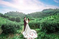 杭州婚纱摄影排名 杭州拍婚纱照景点有哪些