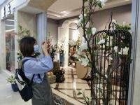 “花艺街”开街领衔新增业态 城外诚25周年逆势扬帆