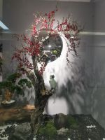 “花艺街”开街领衔新增业态 城外诚25周年逆势扬帆