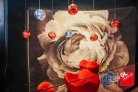 酷家乐对话可罗雅，打破常规，做自己的原创设计！