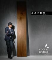 必美菲列德罗珍宝胡桃木地板，6600公里外的奇观尽收脚下