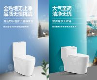 二十六年磨一剑 砺得梅花香