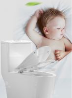 二十六年磨一剑 砺得梅花香