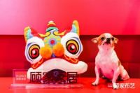  吸睛好物快闪秀收官，顾家家居引爆国潮家居热