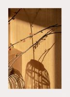 【雅诗澜】与秋季·共美好