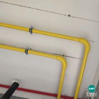 【案例分享】德国凯瑟·三层黄金管案例应用