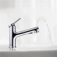 罗永浩、李诞竟因一款大白水龙头再续脱口秀前缘？