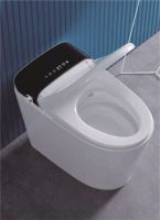 莱恩智能马桶评测——注重体验感的全能如厕管家！