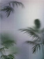 创势·新优品丨看威尔斯陶瓷玩转产品技术“新浪潮”！