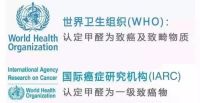 福庆木本豆净康板，致“净”生活，用天然呵护家人健康！