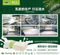 广州十大专业的乳胶品牌排行榜_娜帕蒂卡