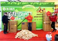 强力家具誉满京城,四店联动引爆十月家居风潮