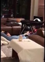 明星们都在用的高端婴童品牌Nuna,你竟然还不知道?