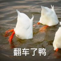 双11优惠力度有多大?当贝D3X同型号投影仪价差400?买错你就入坑了