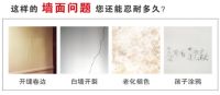 上海天洋董事长李哲龙先生接受央视采访：天洋墙布迎来巨大市场机遇