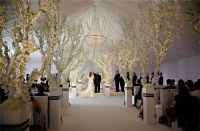 婚礼对老婆说的话 一篇真情告白