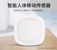 半价抢购 新品发售丨海曼科技双十一钜惠活动明晚开启