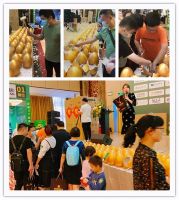 南国鼎峰第五届家装博览会暨一线建材品牌团购会盛大召开