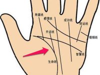 婚姻线怎么看几段姻缘 从婚姻线看何时结婚