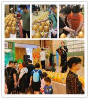 南国鼎峰第五届家装博览会暨一线建材品牌团购会盛大召开！