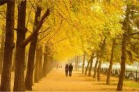 结婚三十年简短祝福语 结婚纪念日怎么过