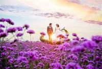 朋友女儿出嫁祝福语 结婚可以送什么