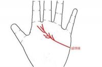 感情线怎么看几段姻缘 感情线断开代表什么意思