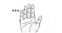 感情线怎么看几段姻缘 感情线断开代表什么意思