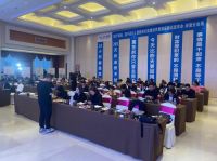 突破套路 我乐家居&高圆圆直播现身全国2015块大屏